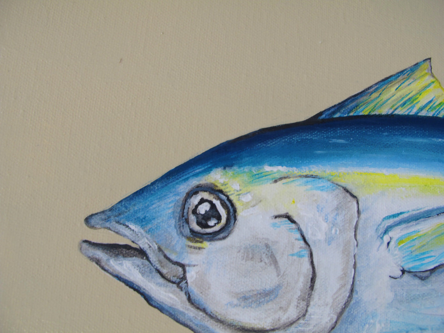 Yellowfin Tuna